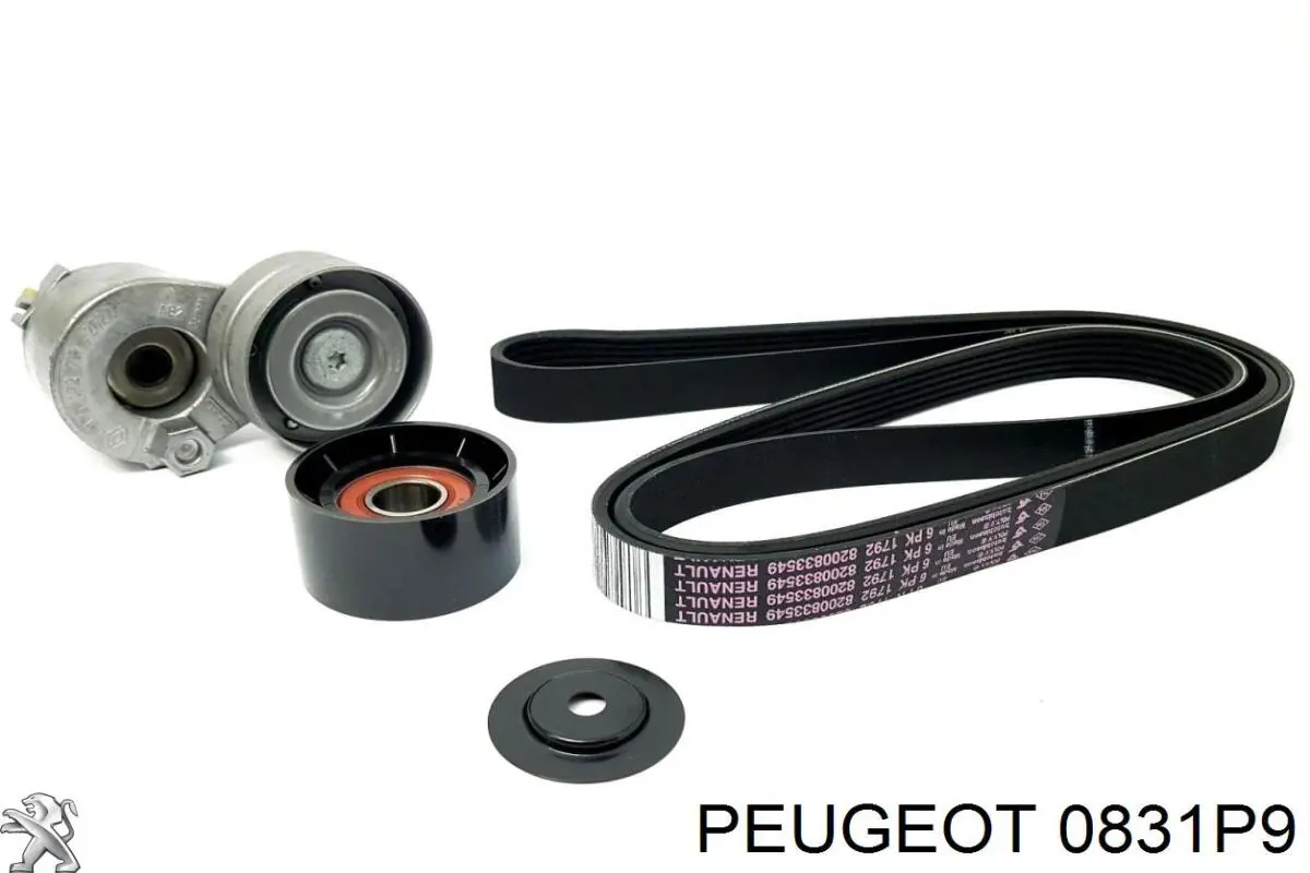 Kit de cadenas de distribución 0831P9 Peugeot/Citroen