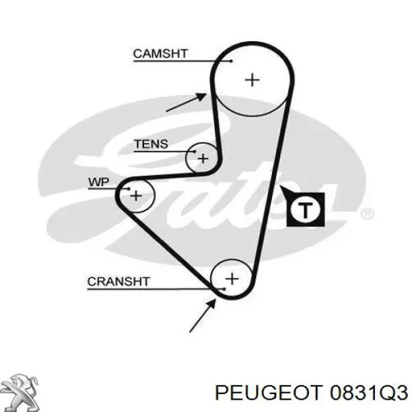 Комплект ГРМ 0831Q3 Peugeot/Citroen