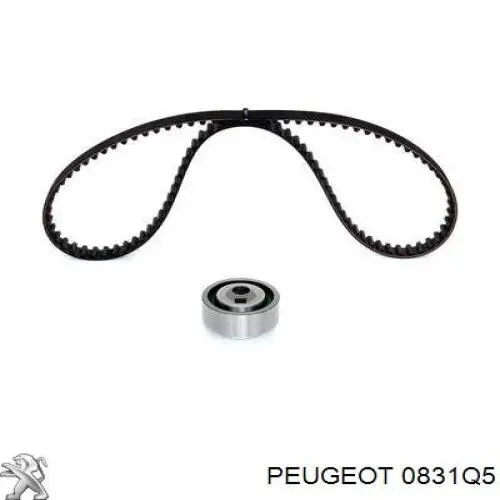 0831Q5 Peugeot/Citroen комплект грм