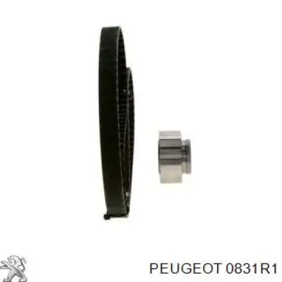 Комплект ГРМ 0831R1 Peugeot/Citroen