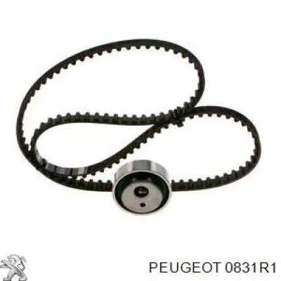 Купить 0831R1 Peugeot/Citroen Комплект ГРМ
