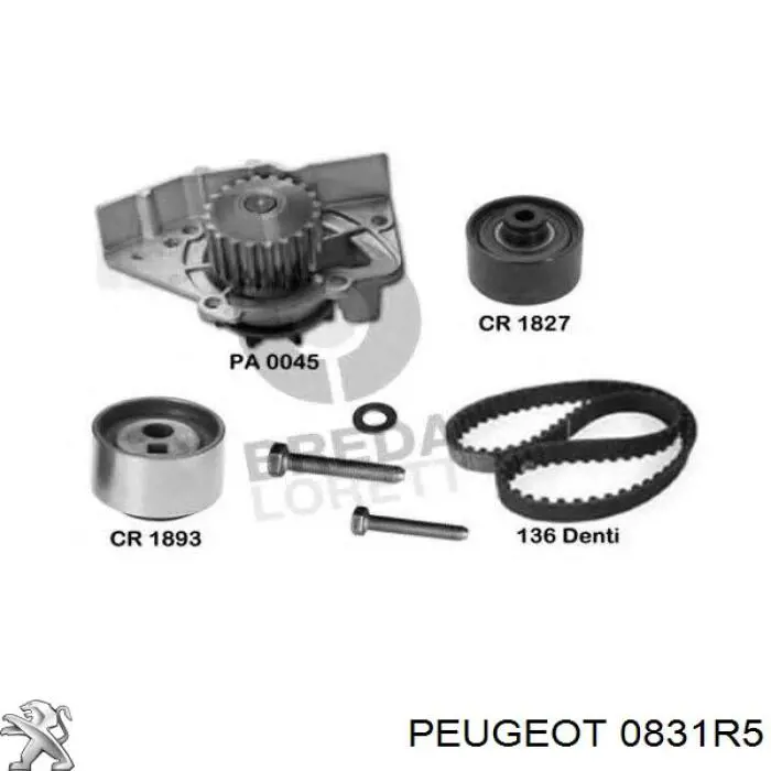 Купить 0831R5 Peugeot/Citroen Комплект ГРМ