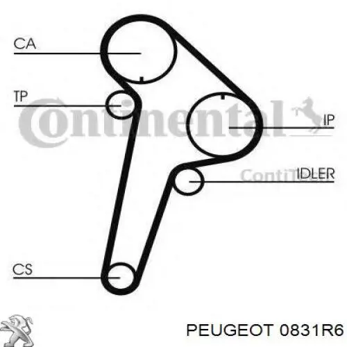 ГРМ ремни, комплект Peugeot/Citroen 0831R6 цена, от 103.87 USD
