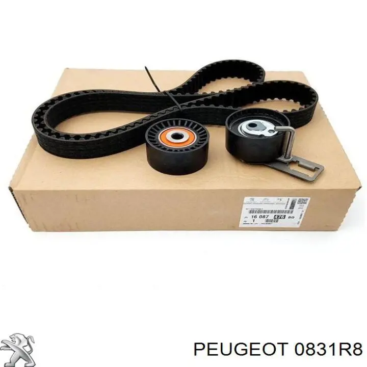 Ремень ГРМ, комплект Peugeot/Citroen 0831R8