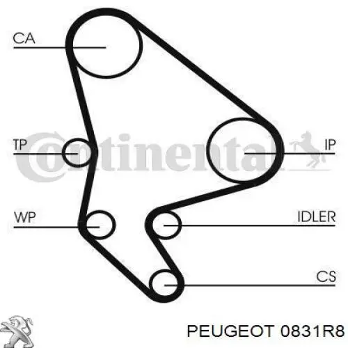 0831R8 Peugeot/Citroen Комплект ремня ГРМ