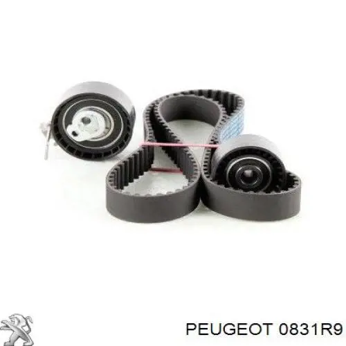 Комплект ГРМ 0831R9 Peugeot/Citroen