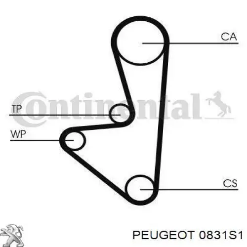 ГРМ ремни, комплект Peugeot/Citroen 0831S1 цена, от 40.70 USD