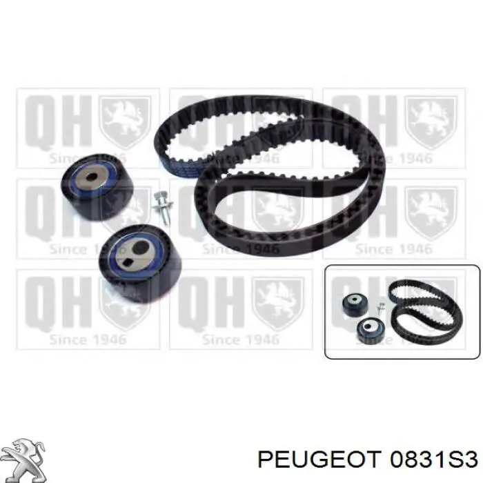 Комплект ГРМ 0831S3 Peugeot/Citroen