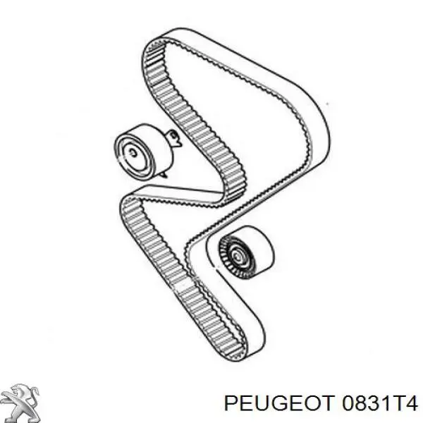 0831T4 Peugeot/Citroen correia do mecanismo de distribuição de gás, kit