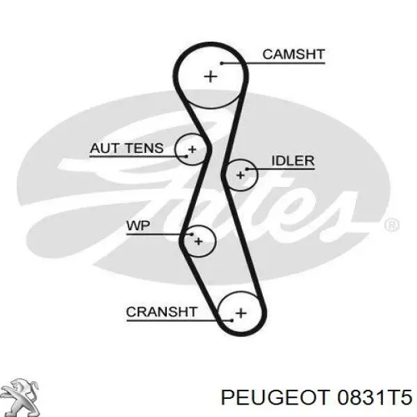 Комплект ГРМ 0831T5 Peugeot/Citroen