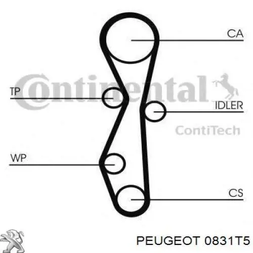 Купить 0831T5 Peugeot/Citroen Комплект ГРМ