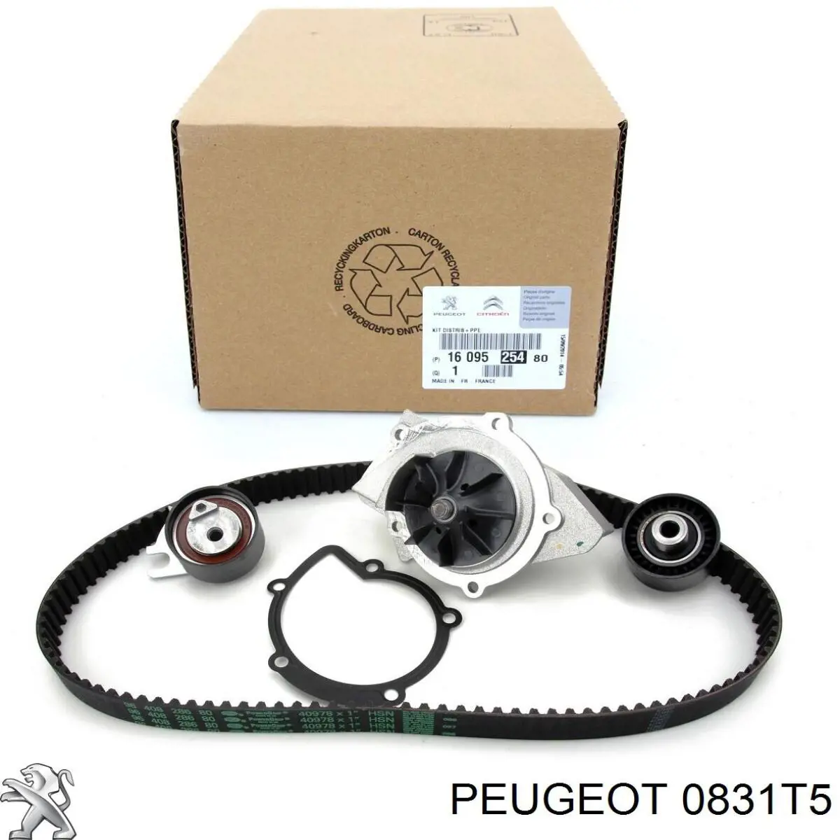 Kit correa de distribución 0831T5 Peugeot/Citroen