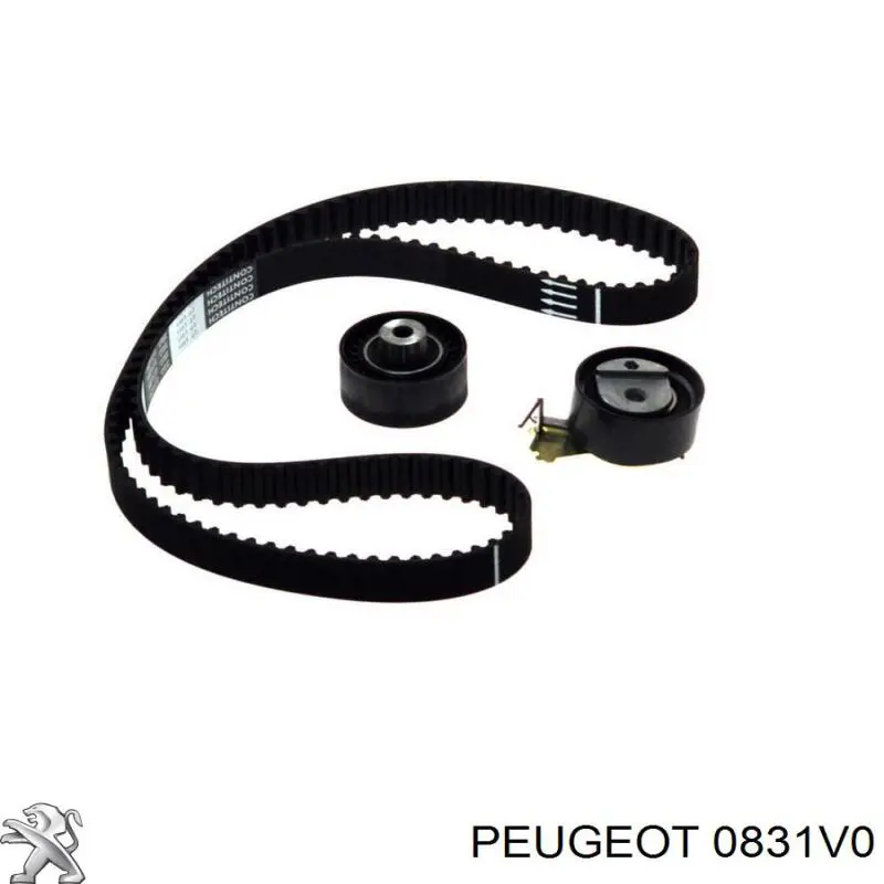 0831V0 Peugeot/Citroen correia do mecanismo de distribuição de gás, kit