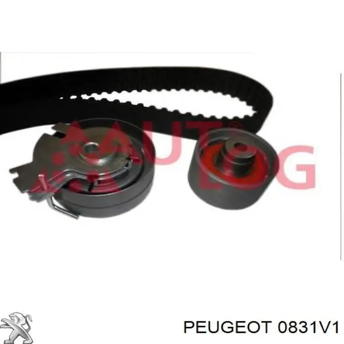 Комплект ГРМ 0831V1 Peugeot/Citroen