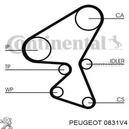 Ремень ГРМ, комплект Peugeot/Citroen 0831V4