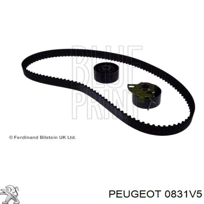 0831V5 Peugeot/Citroen комплект грм