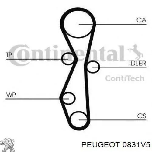 ГРМ ремни, комплект Peugeot/Citroen 0831V5 цена, от 100.94 USD