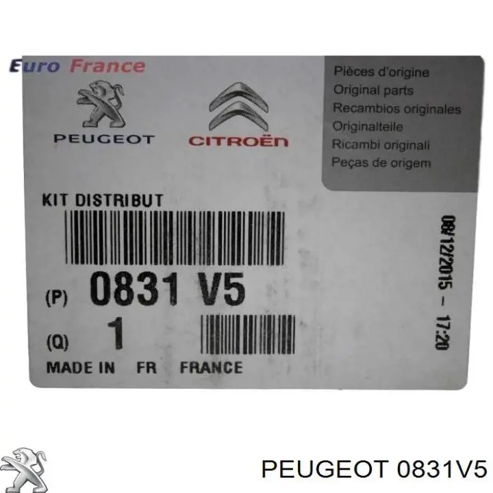 Kit correa de distribución 0831V5 Peugeot/Citroen