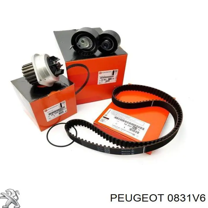 Комплект ГРМ 0831V6 Peugeot/Citroen