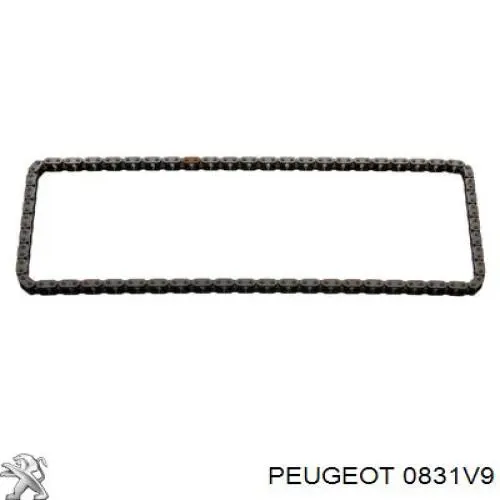 0831V9 Peugeot/Citroen cadeia do mecanismo de distribuição de gás, kit