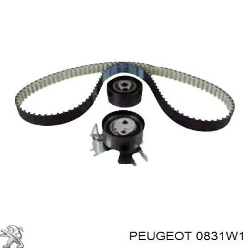 Комплект ГРМ 0831W1 Peugeot/Citroen