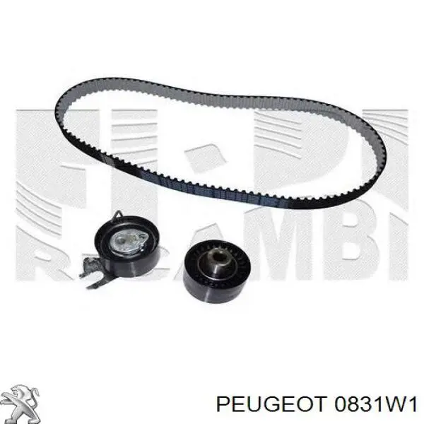 ГРМ ремни, комплект Peugeot/Citroen 0831W1 цена, от 116.47 USD