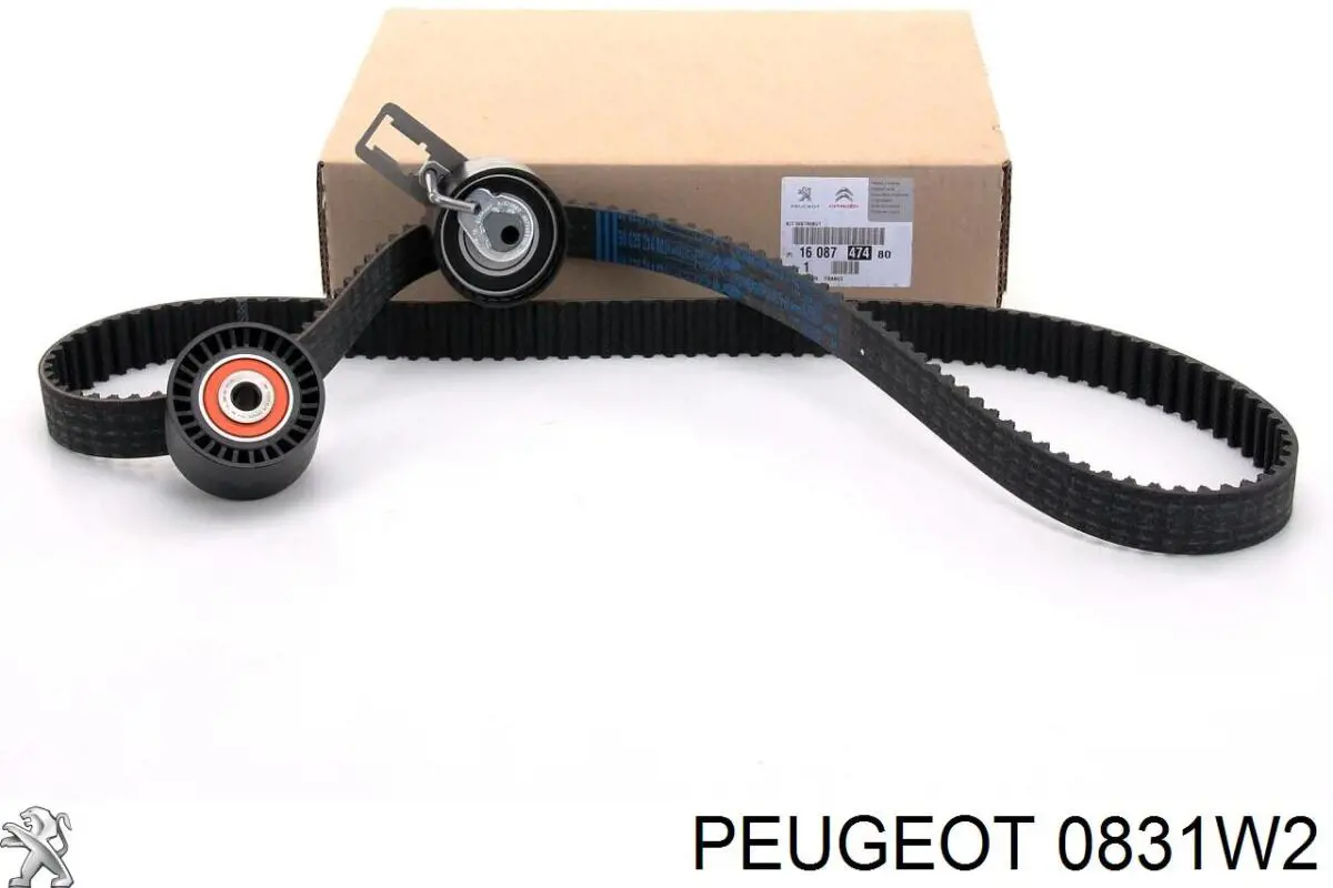 Kit correa de distribución 0831W2 Peugeot/Citroen