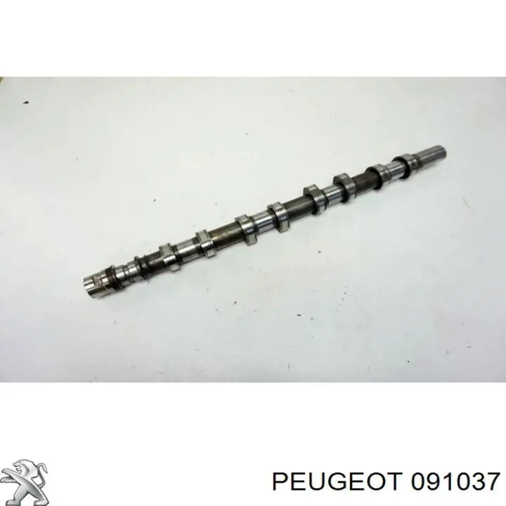  Peugeot/Citroen 091037