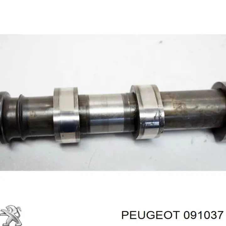 091037 Peugeot/Citroen 