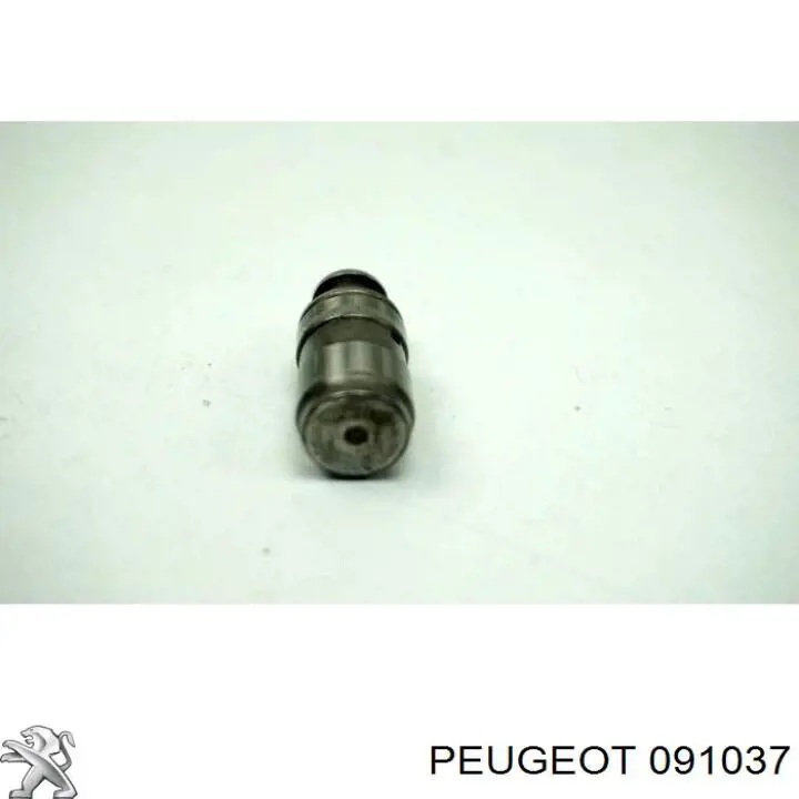 Купить 091037 Peugeot/Citroen 