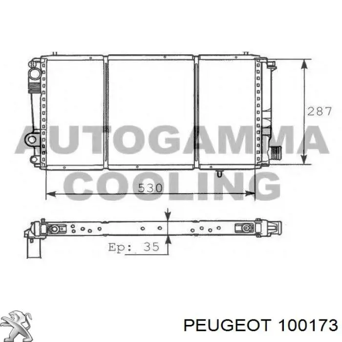  100173 Peugeot/Citroen