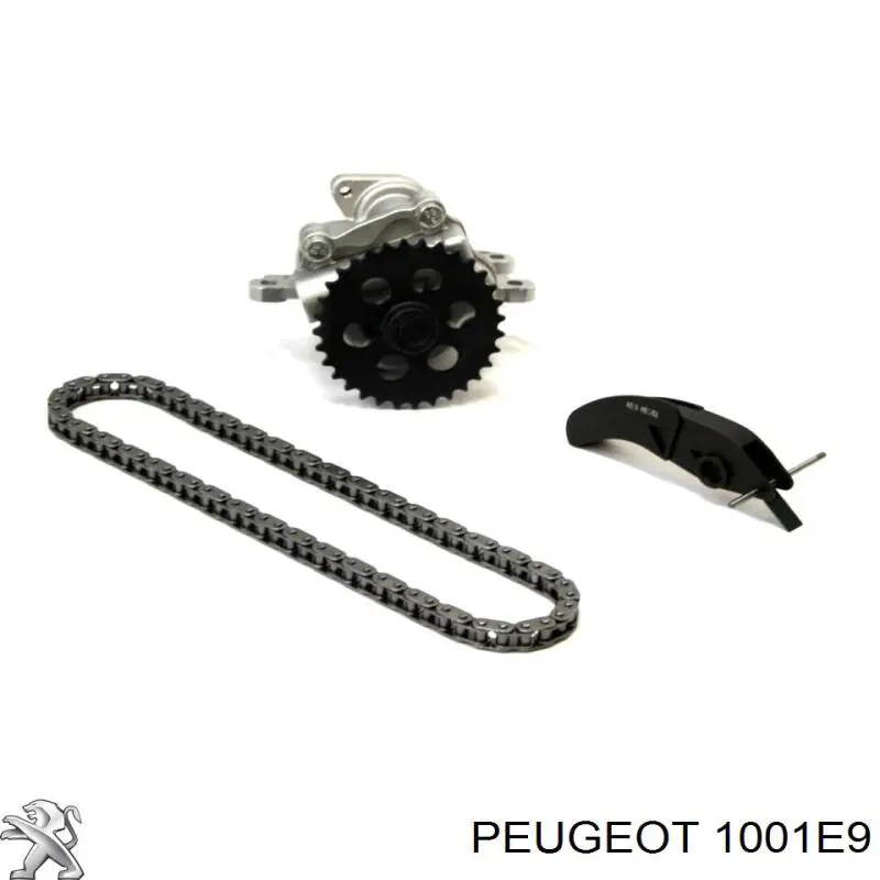 Купить 1001E9 Peugeot/Citroen Насос маслозакачивающий