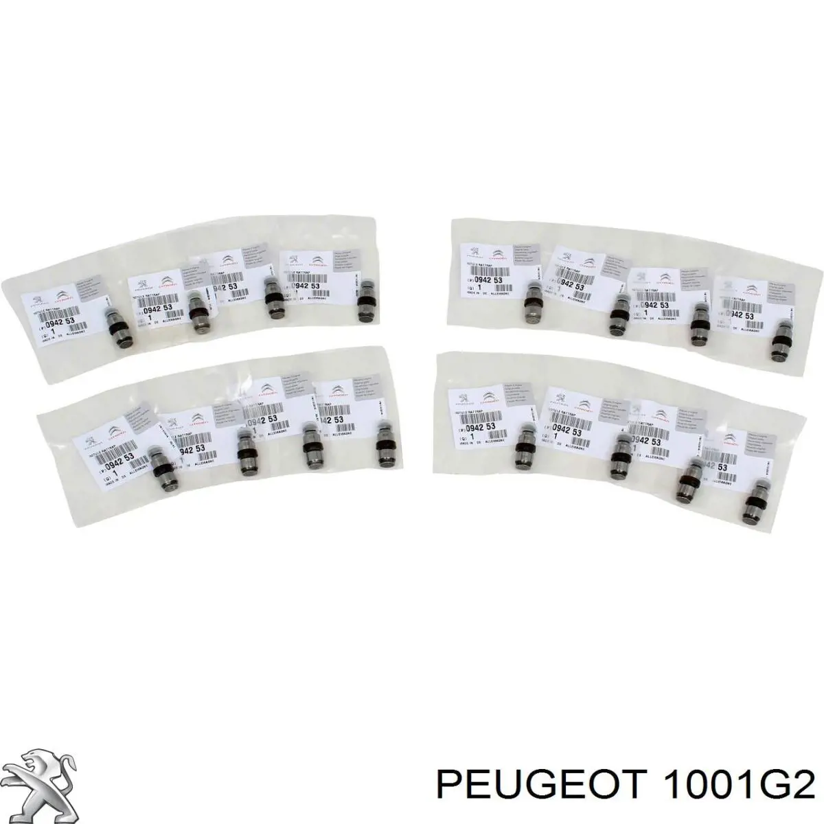 1001G2 Peugeot/Citroen Масляный насос двигателя