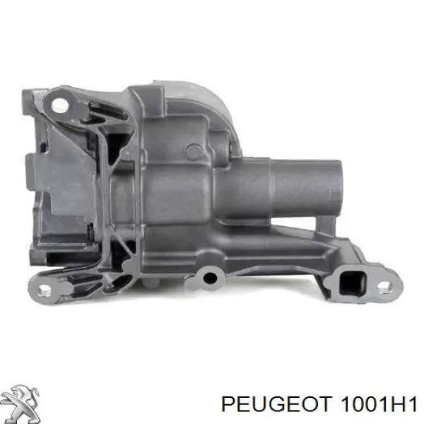 Bomba de aceite 1001H1 Peugeot/Citroen