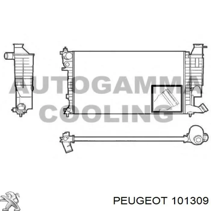 Прокладка масляного насоса Peugeot/Citroen 101309 цена, от 6.60 USD