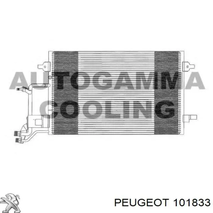  101833 Peugeot/Citroen
