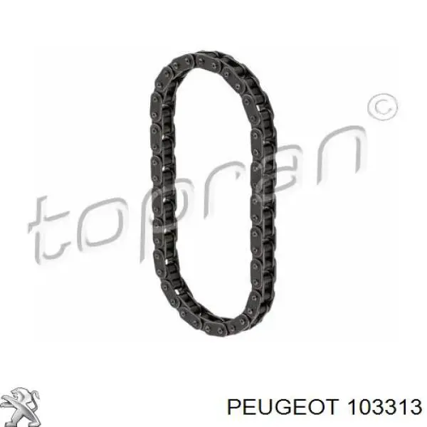 103313 Peugeot/Citroen цепь масляного насоса