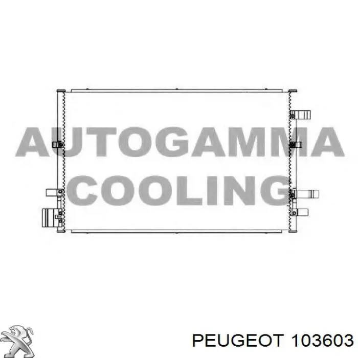 103603 Peugeot/Citroen 