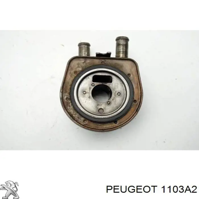 1103A2 Peugeot/Citroen radiador de óleo (frigorífico, debaixo de filtro)