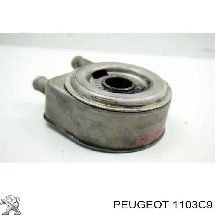 Radiador de óleo (frigorífico), debaixo de filtro para Peugeot 405 (15E)