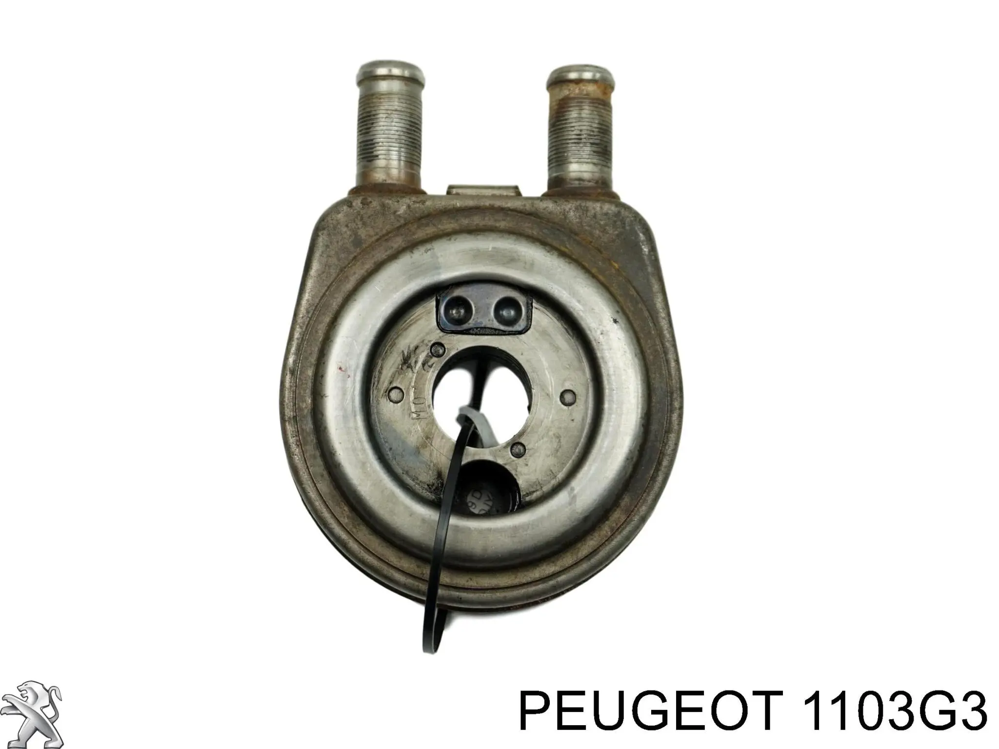 Radiador de óleo (frigorífico), debaixo de filtro para Peugeot 405 (4B)