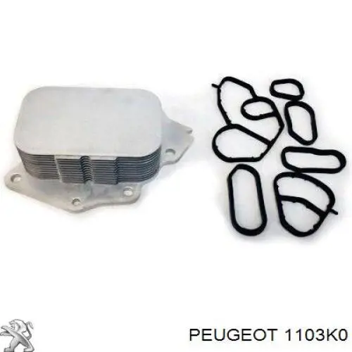 1103K0 Peugeot/Citroen caixa do filtro de óleo