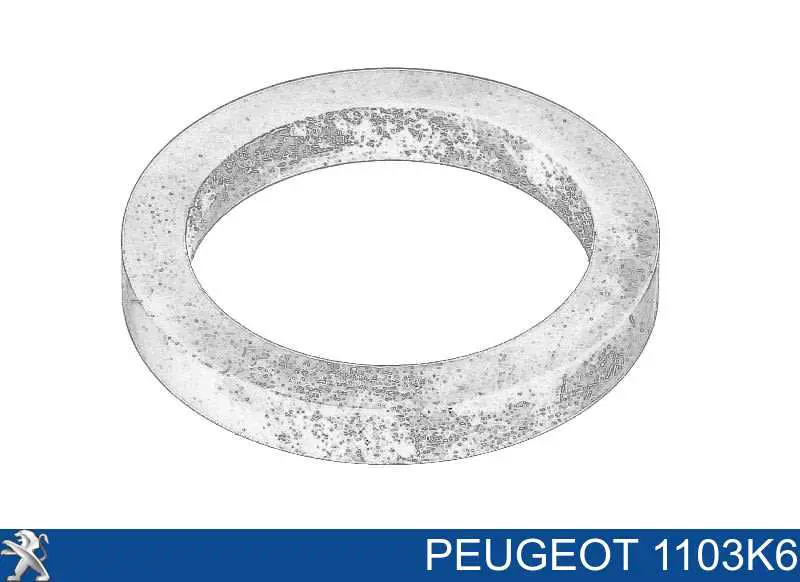 00001103K6 Peugeot/Citroen vedante de adaptador do filtro de óleo