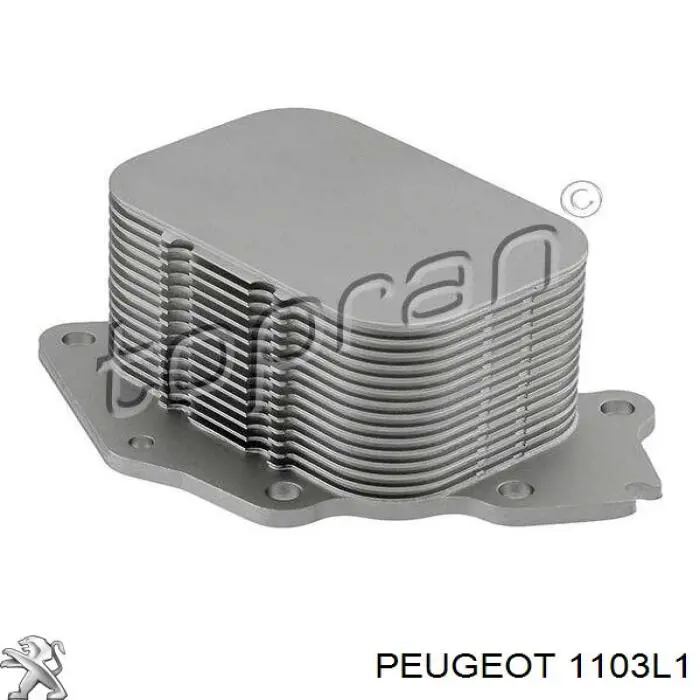 Radiador de aceite, bajo de filtro 1103L1 Peugeot/Citroen