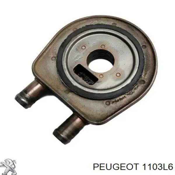 Caja, filtro de aceite 1103L6 Peugeot/Citroen