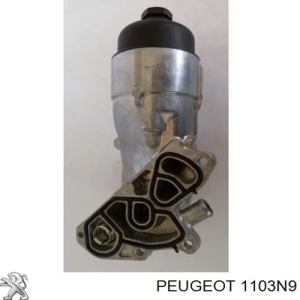 Caja, filtro de aceite 1103N9 Peugeot/Citroen