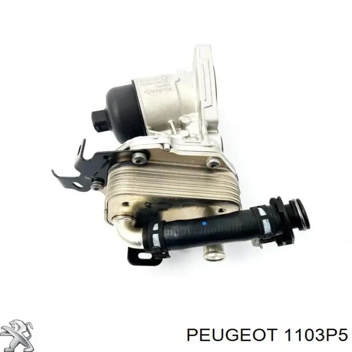 Caja, filtro de aceite 1103P5 Peugeot/Citroen