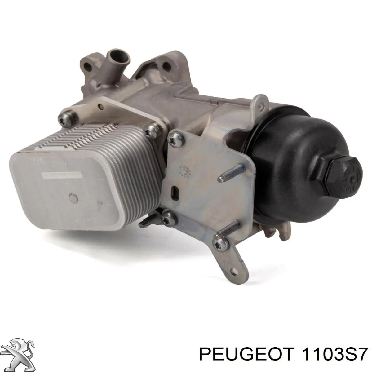 Caja, filtro de aceite 1103S7 Peugeot/Citroen