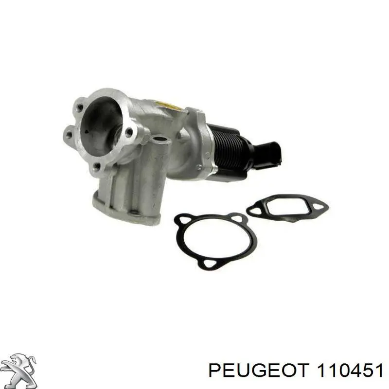 110451 Peugeot/Citroen