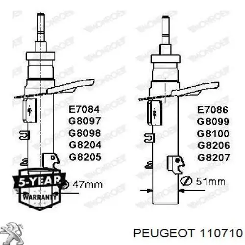  110710 Peugeot/Citroen